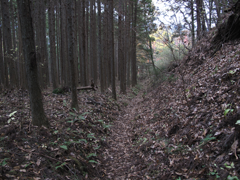20181126hike (328)